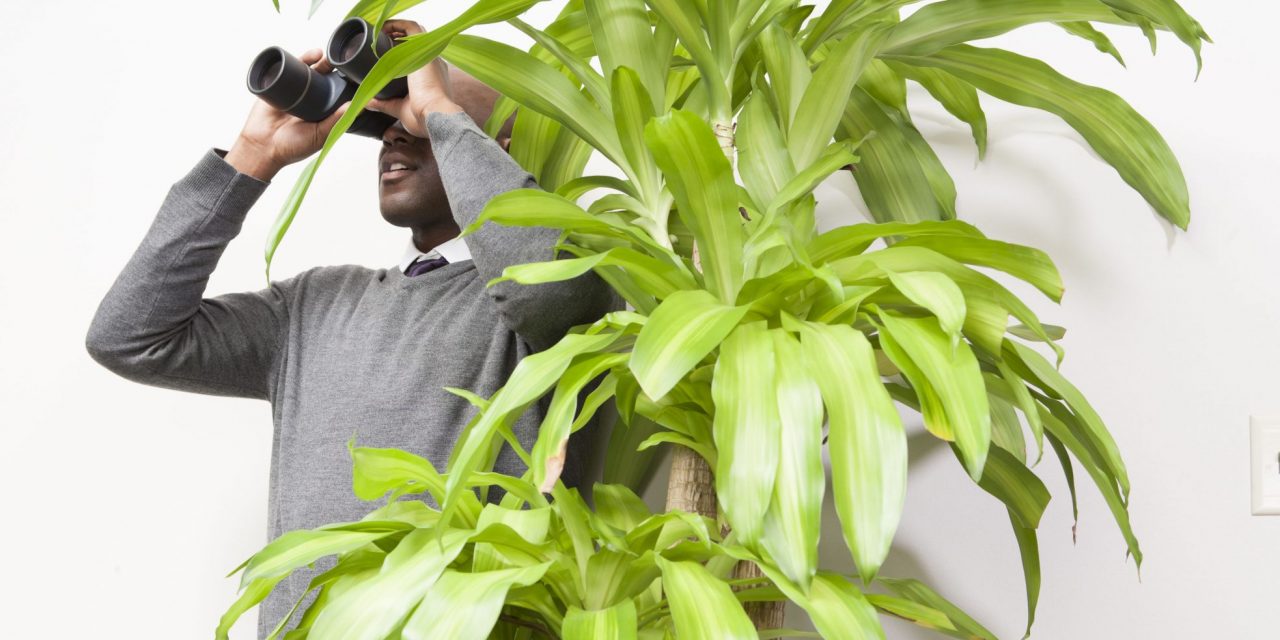 MAC, CERT, RAC, PSCs, ZPIC and the OIG, Who IS Watching You?