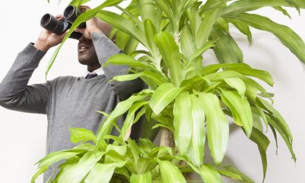 MAC, CERT, RAC, PSCs, ZPIC and the OIG, Who IS Watching You?