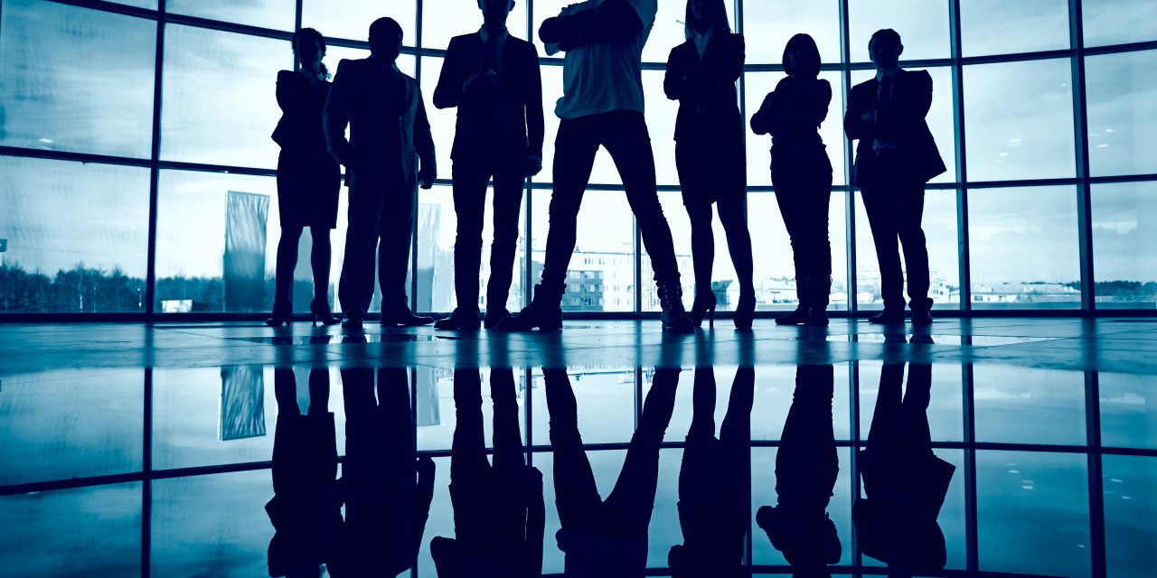 Limited Liability Companies (LLC)