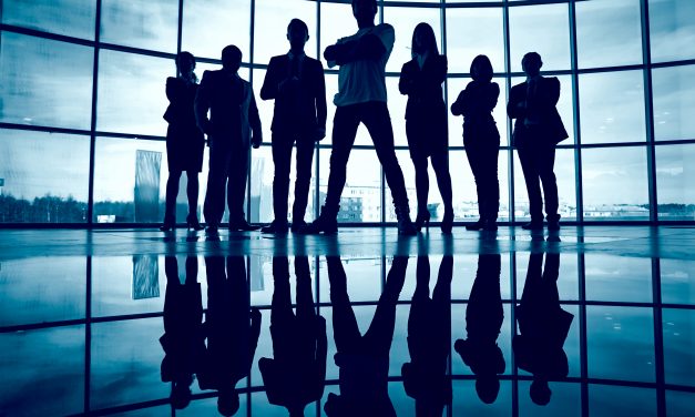 Limited Liability Companies (LLC)