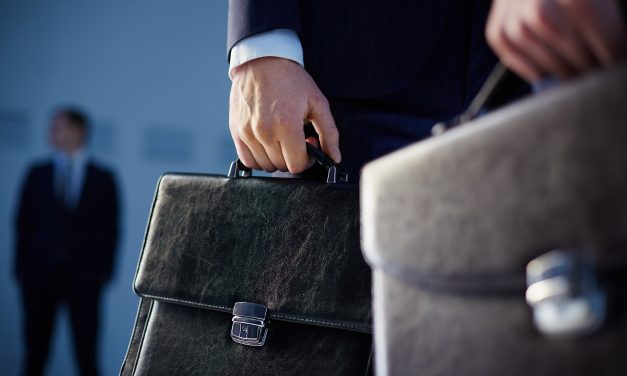 Professional Limited Liability Company (PLLC): Requirements to Create and Verify