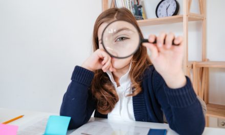 Red Flags for OIG Audits