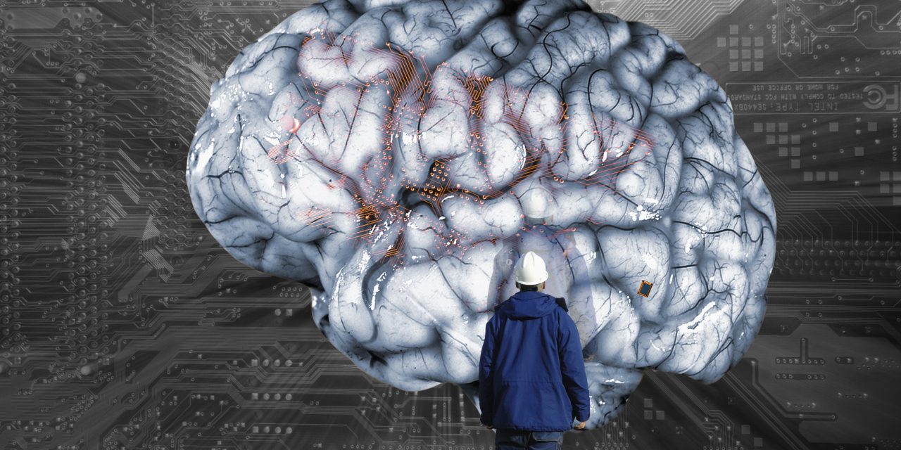 Upper vs. Lower Motor Neuron Lesions