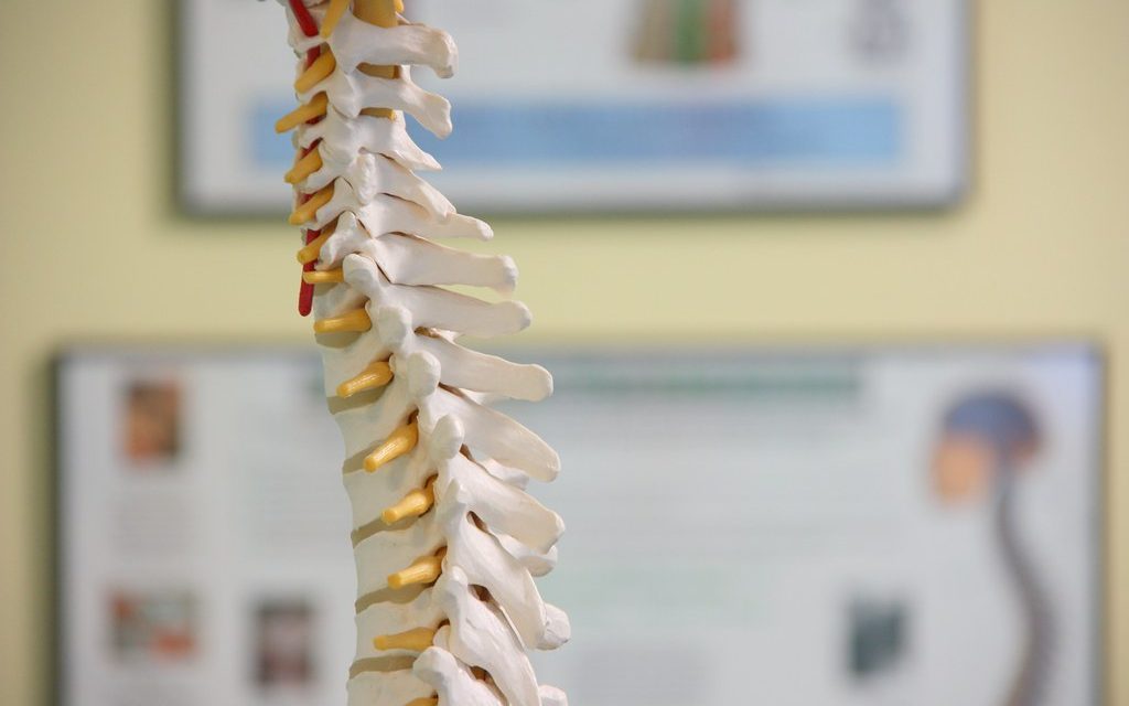 Hydroxyapatite Deposition in the Spine
