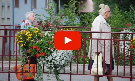 When Am I Mandated to Report the Abuse or Neglect of Adults or the Elderly?