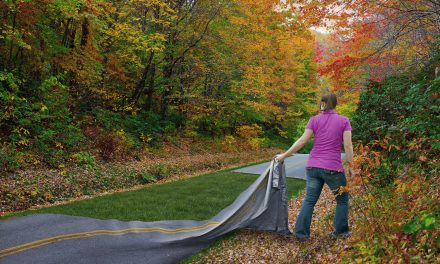 Agent of Social Change – the Doctor of Chiropractic