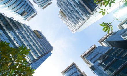 Medical and Professional Service Corporation