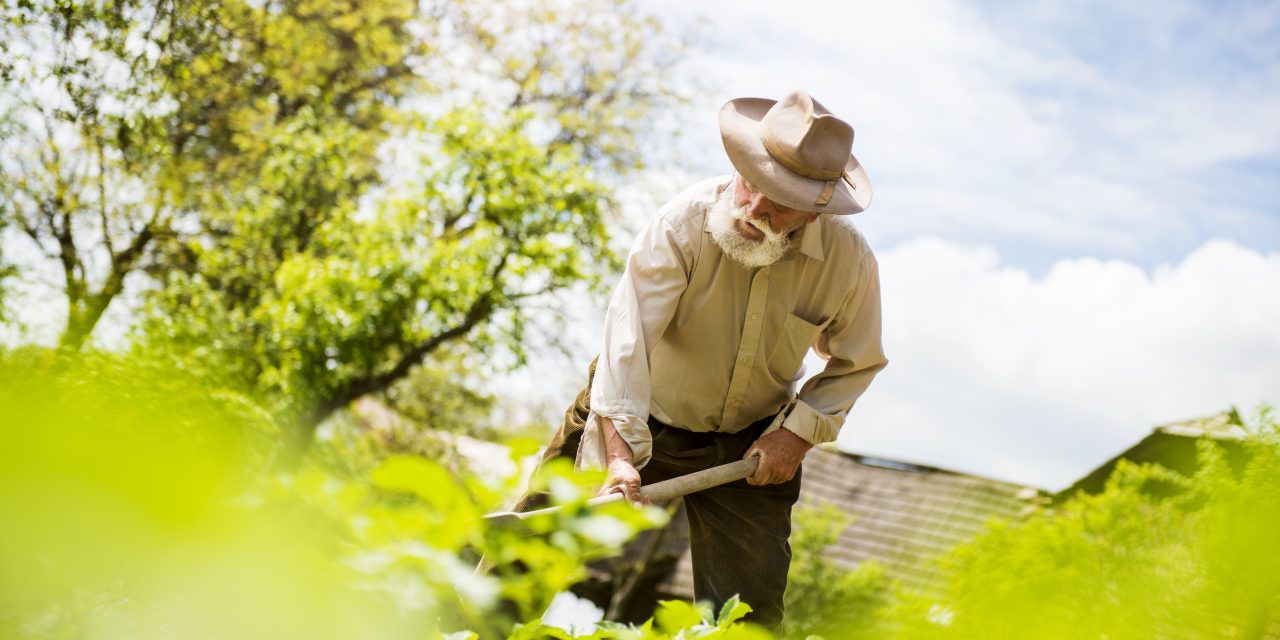 Occupational Back Injury