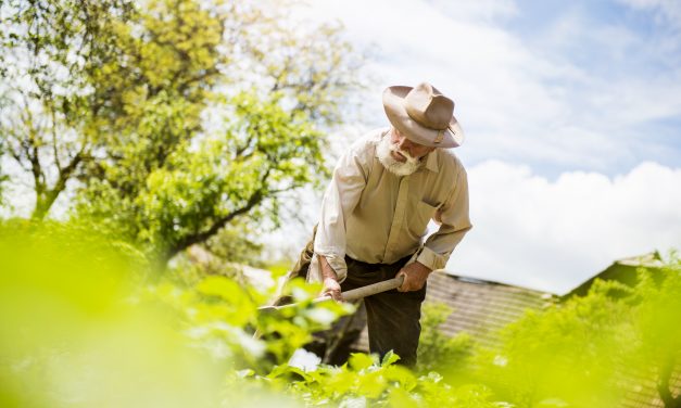 Occupational Back Injury