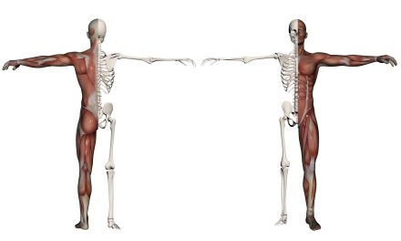 Centralization Is Key