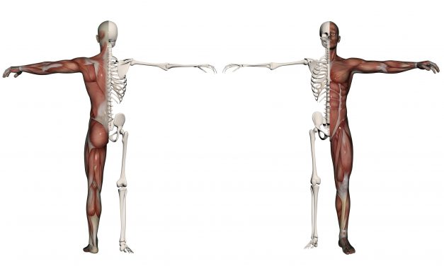 Centralization Is Key