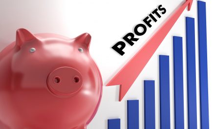 Calculating Profitability for Practice Success