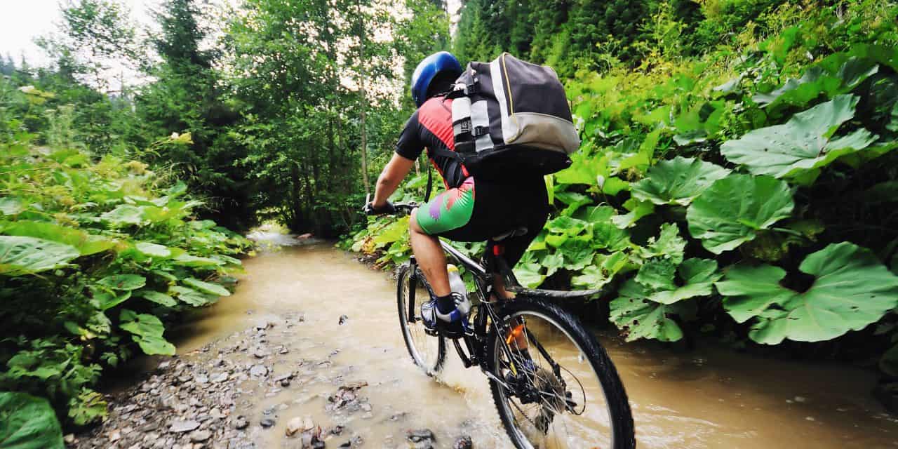 Illinois Chiropractic Society President Report 2018