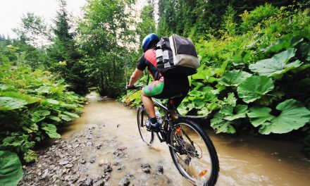 Illinois Chiropractic Society President Report 2018