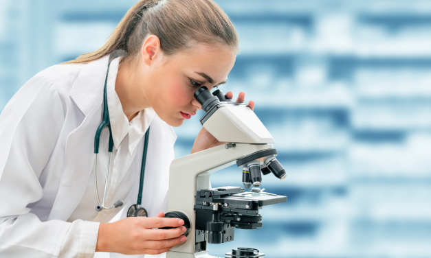 January 2020 Research Synopsis