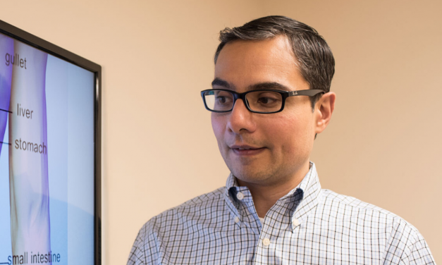 ICS President’s Letter to the Profession:  4 Key Pillars