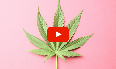 Employment and Marijuana Legalization