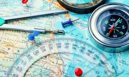 Where Is The Chiropractic Profession Going?