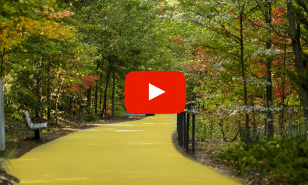 Forms, and Templates, and Editable Things, Oh My!!!