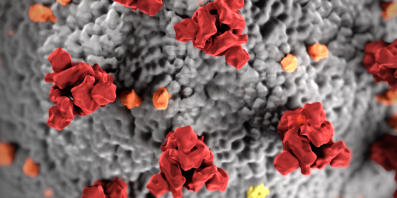 ANSWERS TO FREQUENTLY ASKED QUESTIONS FOR EXECUTIVE ORDER 2021-22