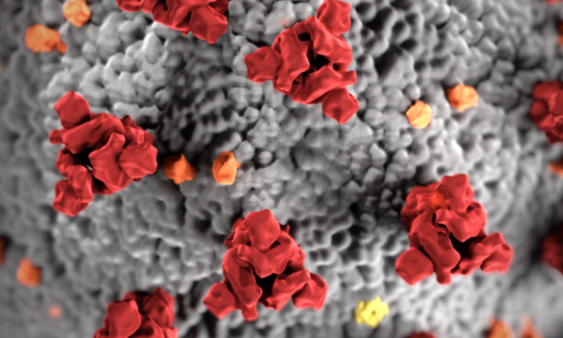 ANSWERS TO FREQUENTLY ASKED QUESTIONS FOR EXECUTIVE ORDER 2021-22