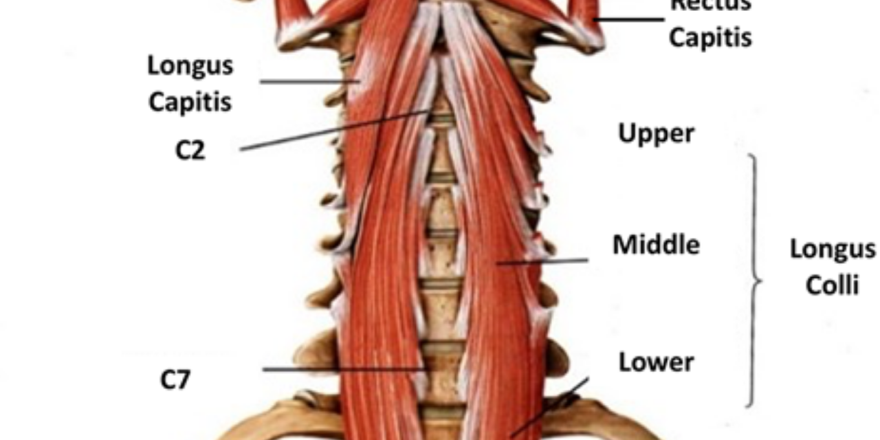The Most Overlooked Cause of Neck Pain