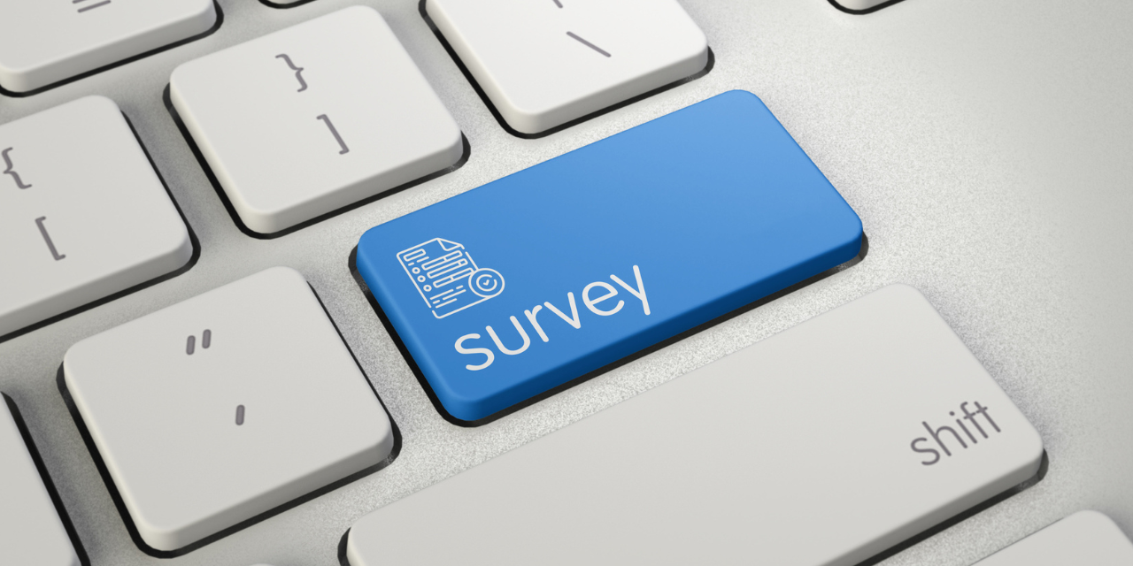 Research Agenda Survey