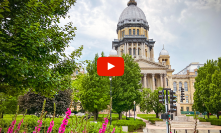 Chiropractic Legislation Update from Springfield